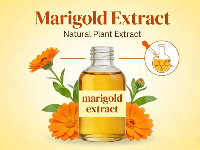 What Does Marigold Extract Do?
